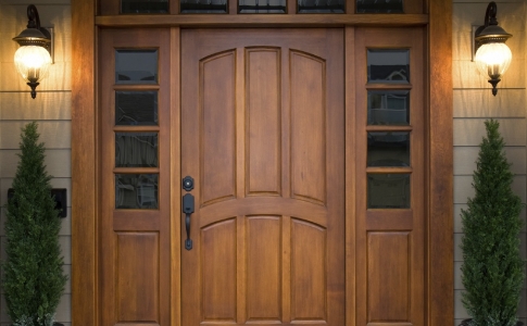 Двери двустворчатые (входные)